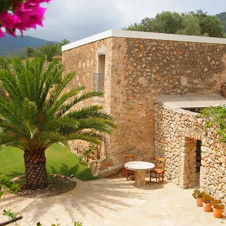 New! Xo Ibiza San José