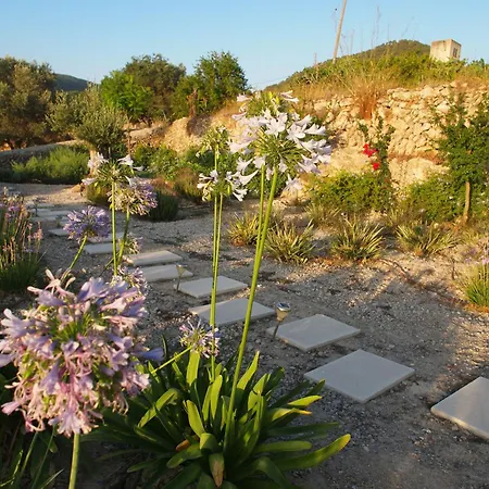 Villa New! Xo Ibiza